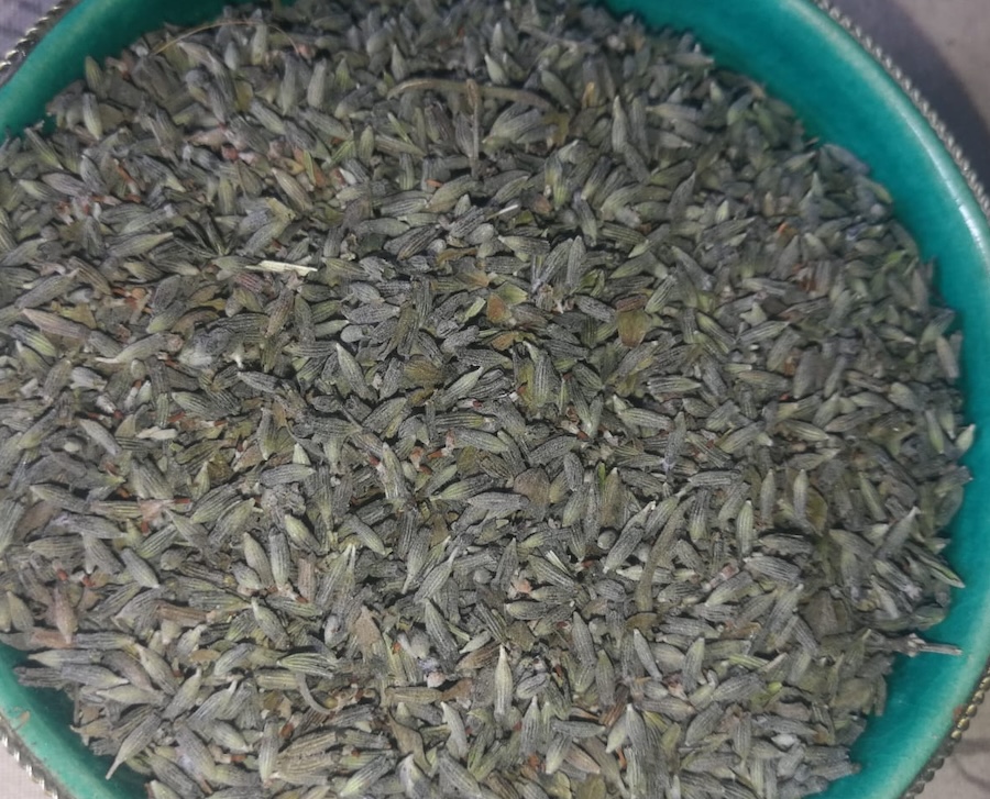 Margaret Roberts Dried Lavender Rice | Ornamental Confetti & Sachets