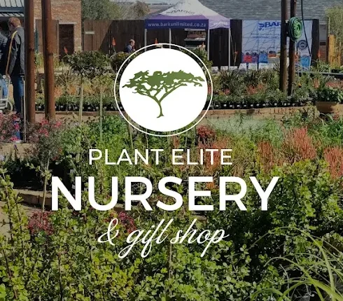 Indigenous & indoor plants, tools, garden services, gifts & more – all in one place
