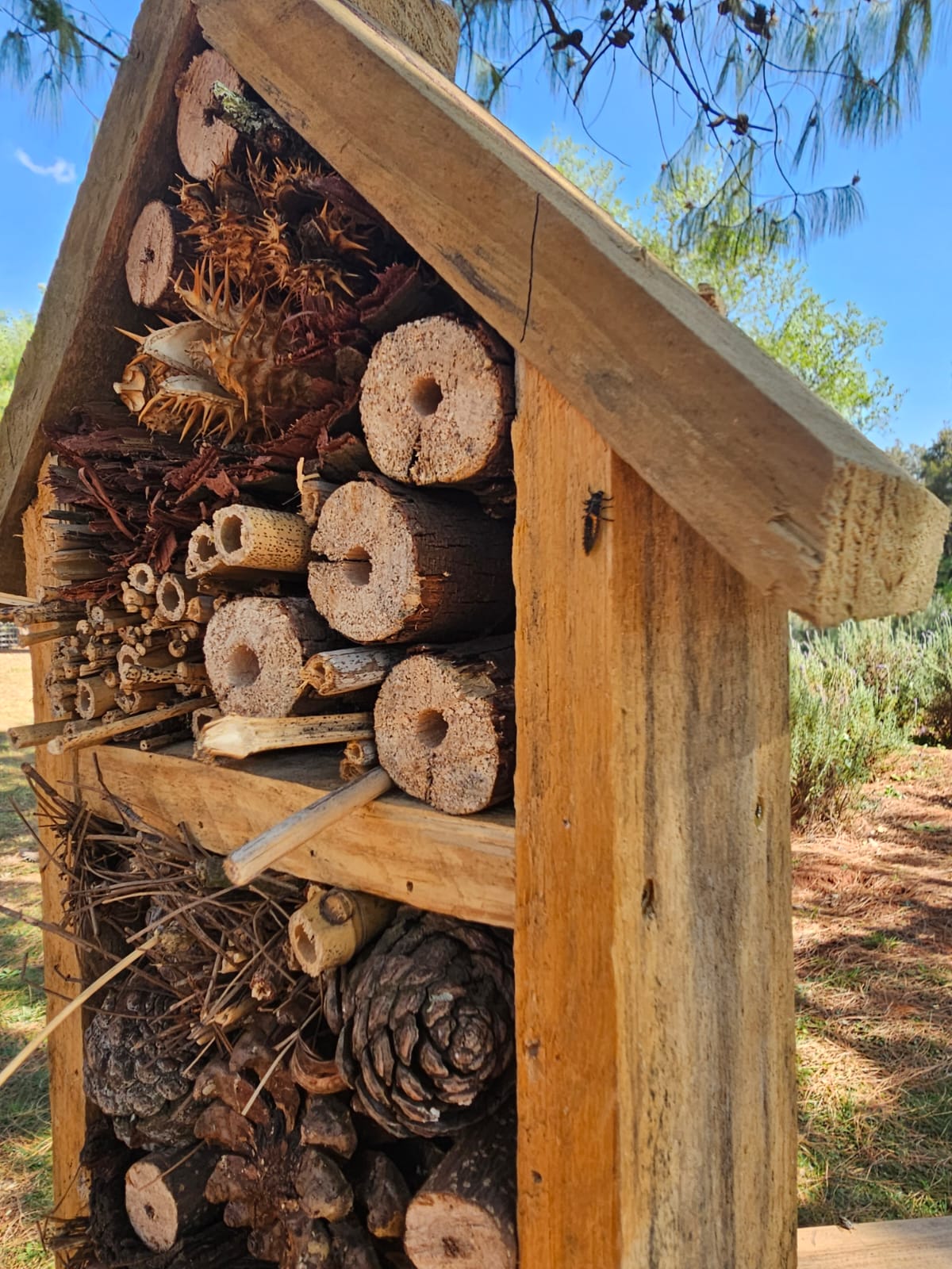 Handmade Natural Bug Hotel | Zero-Glue Eco Insect Shelter | Lavender SA - Image 2