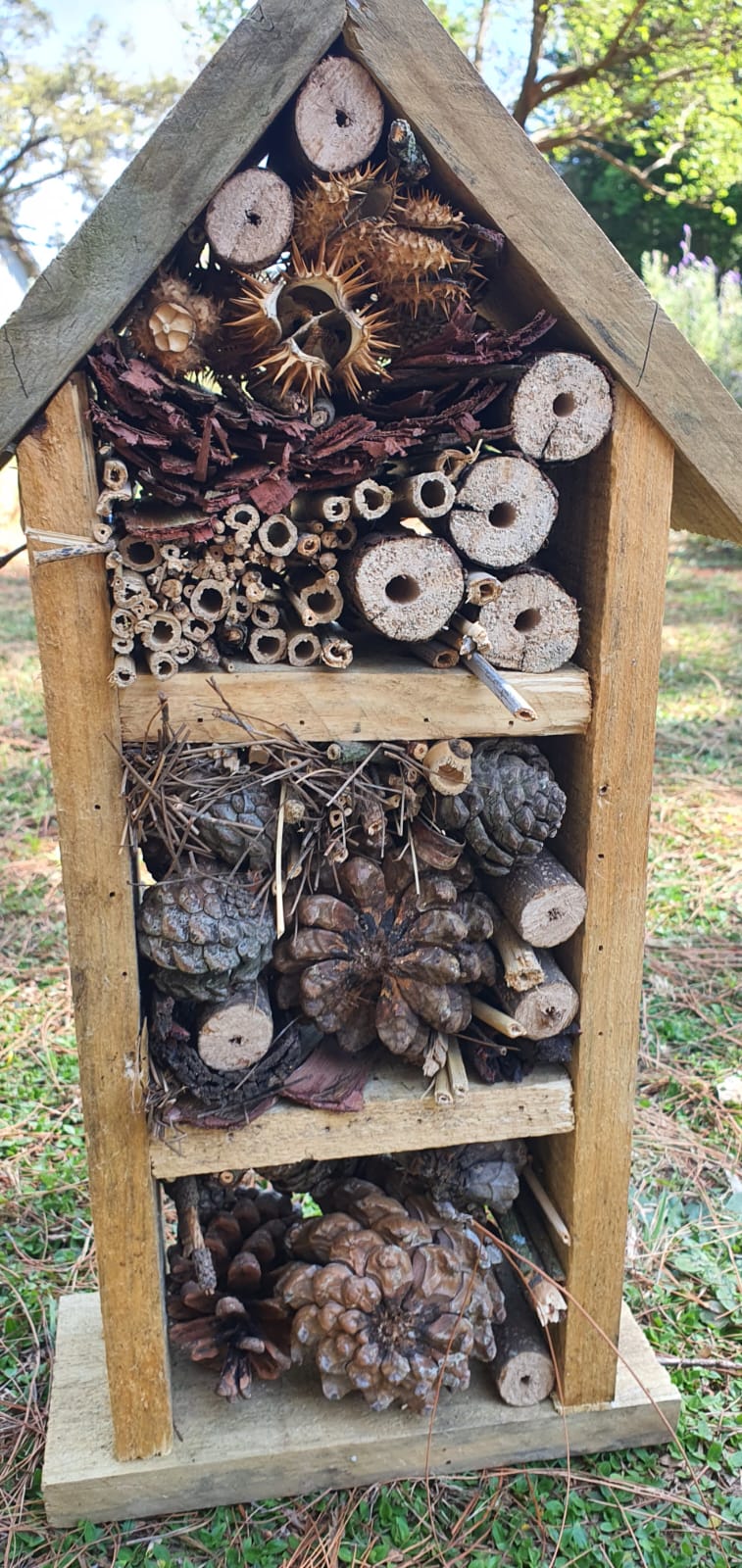 Handmade Natural Bug Hotel | Zero-Glue Eco Insect Shelter | Lavender SA - Image 3